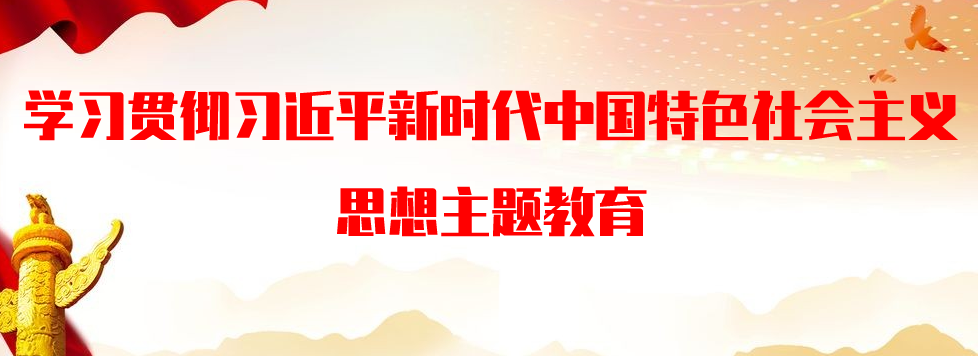 学习贯彻习近平新时代中国特色社会主义头脑主题教育