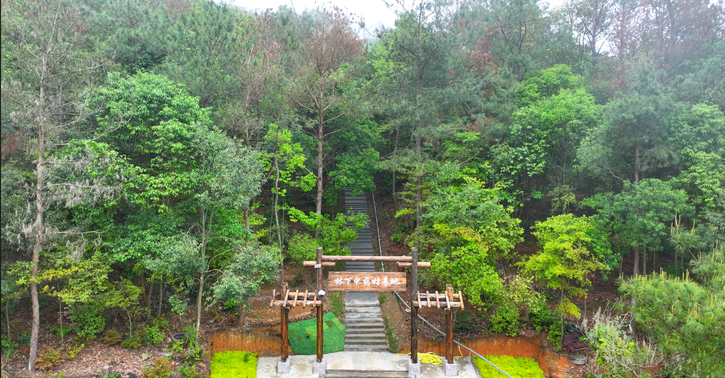 让“甜睡资产”变“金山银山”