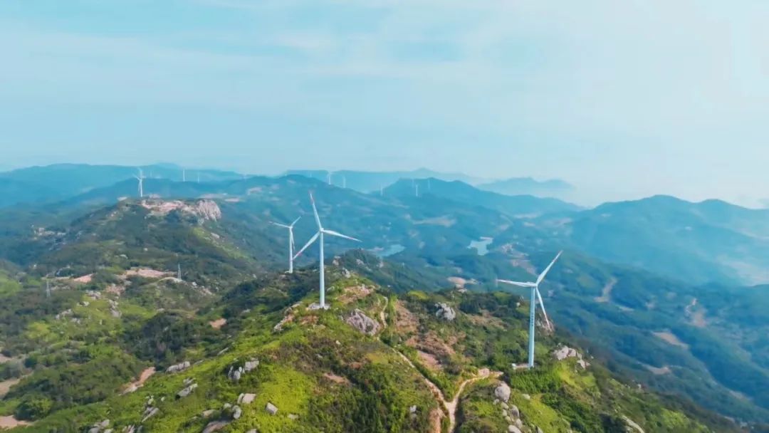 【深化拓展“三争”行动】市云顶集团公司：向绿而行 “碳”路未来